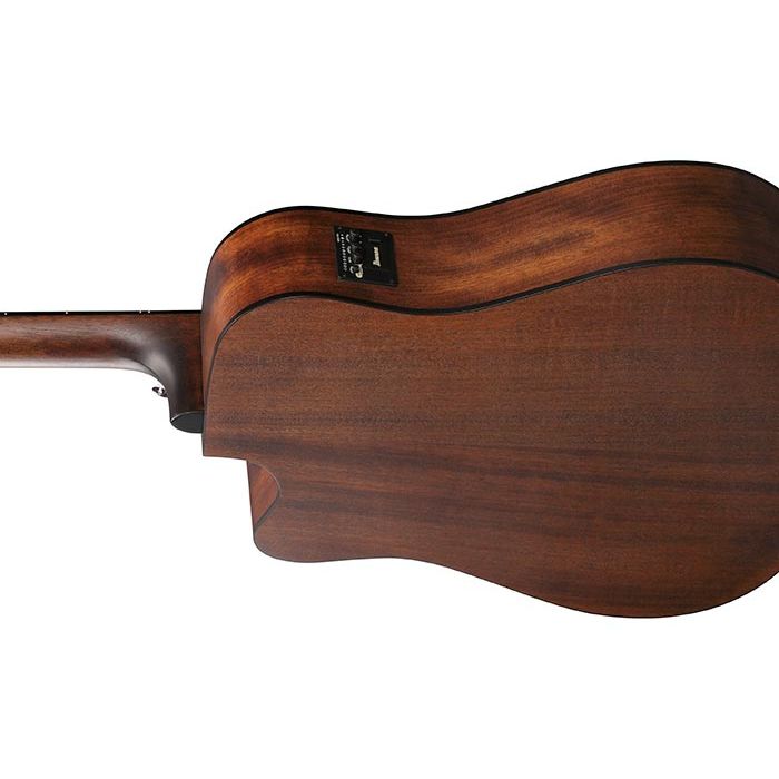 Ibanez AW5412CE 12-string Acoustic-electric Guitar - Open Pore Natural