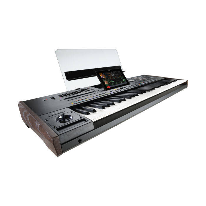 Korg Pa5X 61 61-key Arranger Workstation