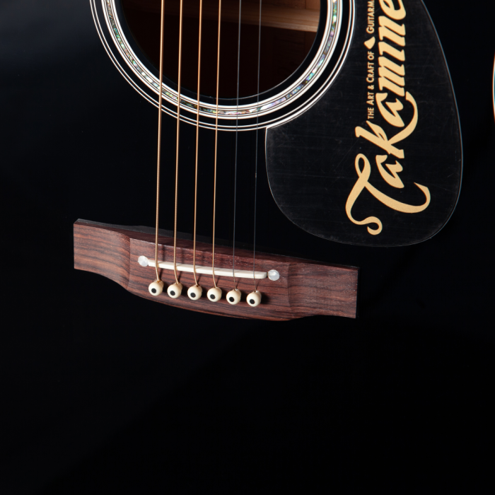 Takamine EF341DX