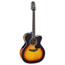 takamine_guitar_p6jc.jpg