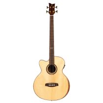 Private Room Striped Ebony Suite Left-Handed w/ Arm Rest Solid Top Acoustic-Electric Bass w/ Bag