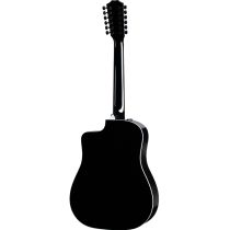Taylor 250ce BLK DLX