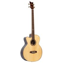 Private Room Striped Ebony Suite Left-Handed w/ Arm Rest Solid Top Acoustic-Electric Bass w/ Bag