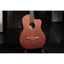 Family Series Full Size Guitar Mahogany Natural - RCE125MMSN image 1