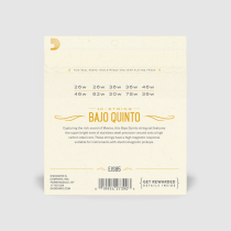 D&#039;Addario EJS85 Bajo Quinto Strings Stainless Steel
