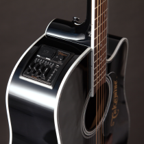Takamine EF341DX