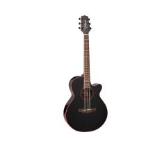 Takamine GF49CE FXC Acoustic-electric guitar - Cosmic Black