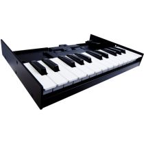 Roland K-25M Boutique Series Keyboard Unit