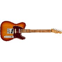 Fender Player Plus Nashville Telecaster®, Pau Ferro Fingerboard, Sienna Sunburst