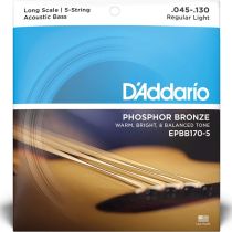 D'Addario EPBB170-5 Phosphor Bronze 5-String Long Scale Acoustic Bass Strings - .045-.130 5-string
