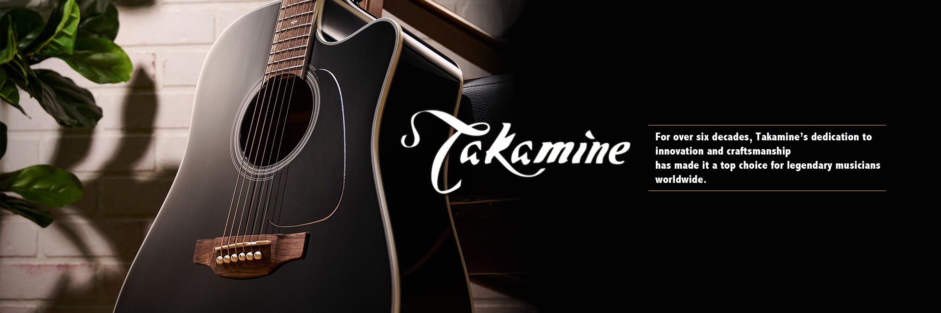 Takamine Guitars