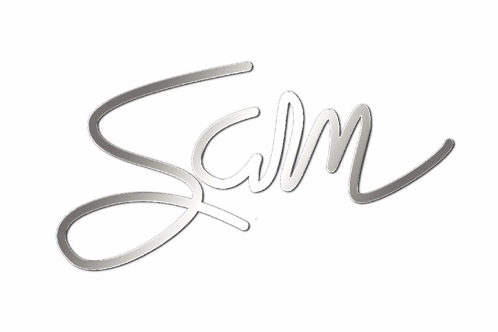Sam Audio